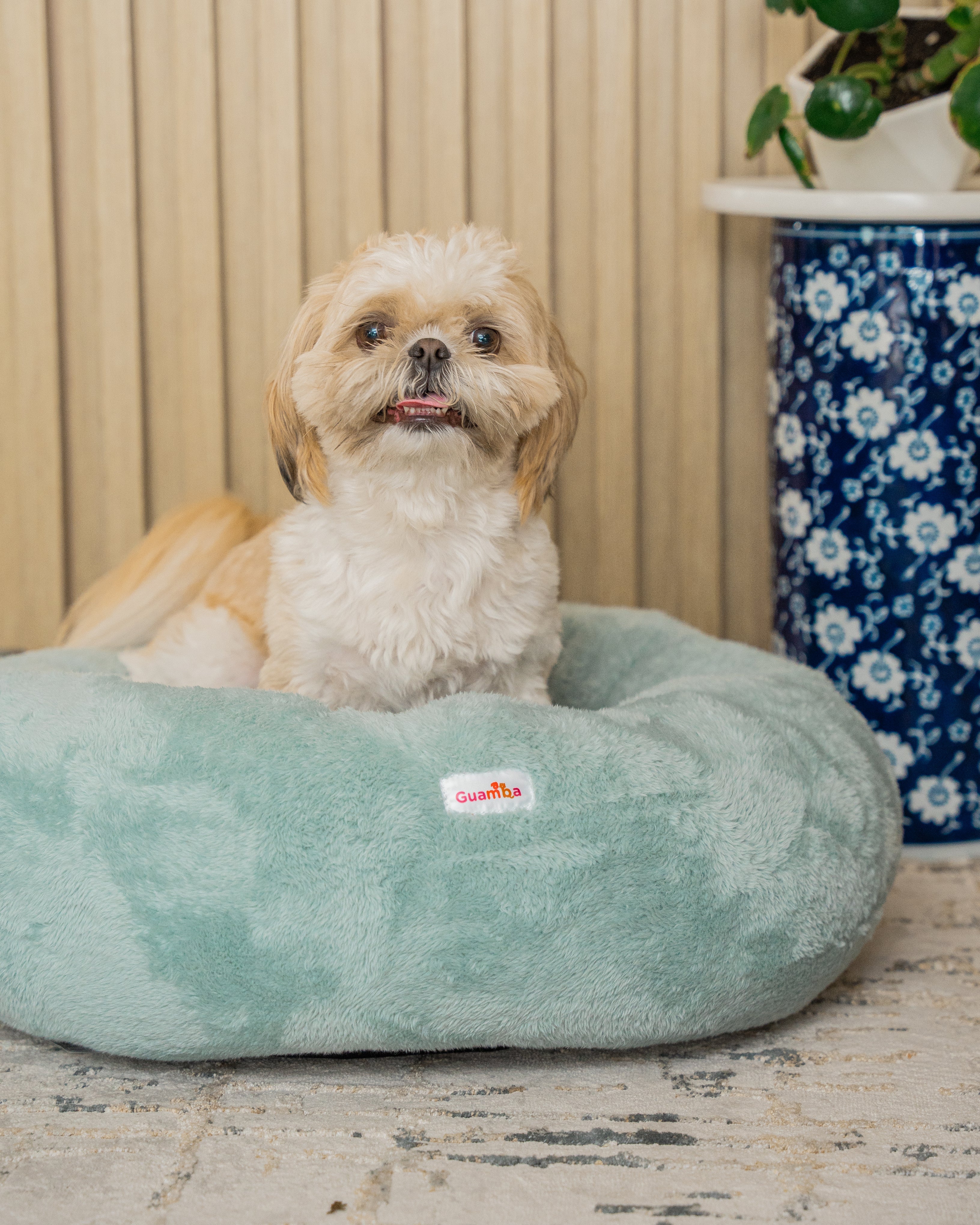 ¿Qué le genera estrés a las mascotas?