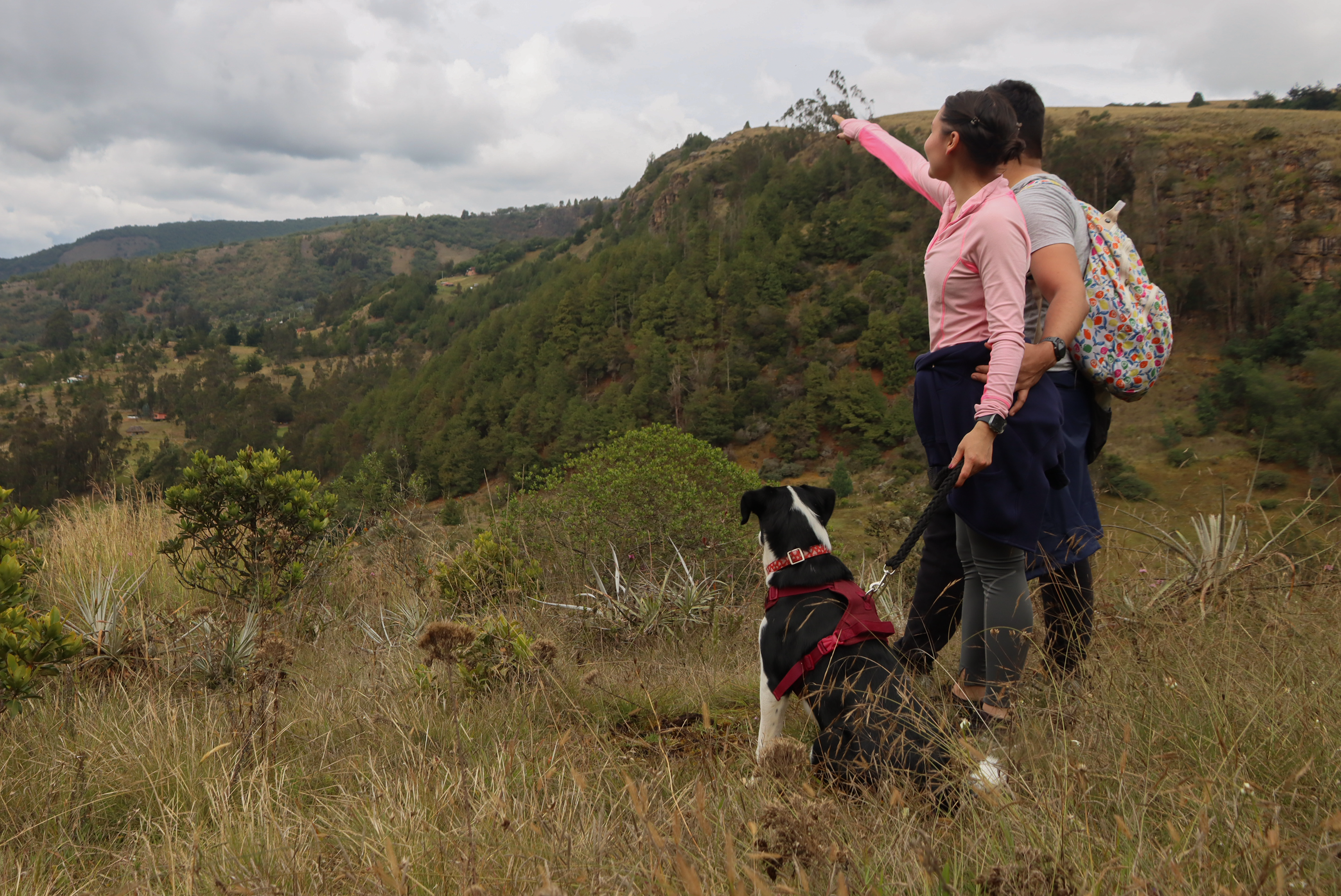 Aventuras con mi perro: caminar, descubrir paisajes y vivir experiencias inolvidables