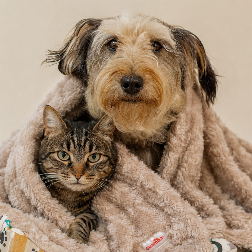 Cobijas para perros y gatos