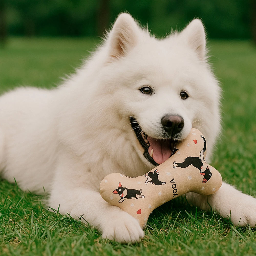 Juguetes para perros