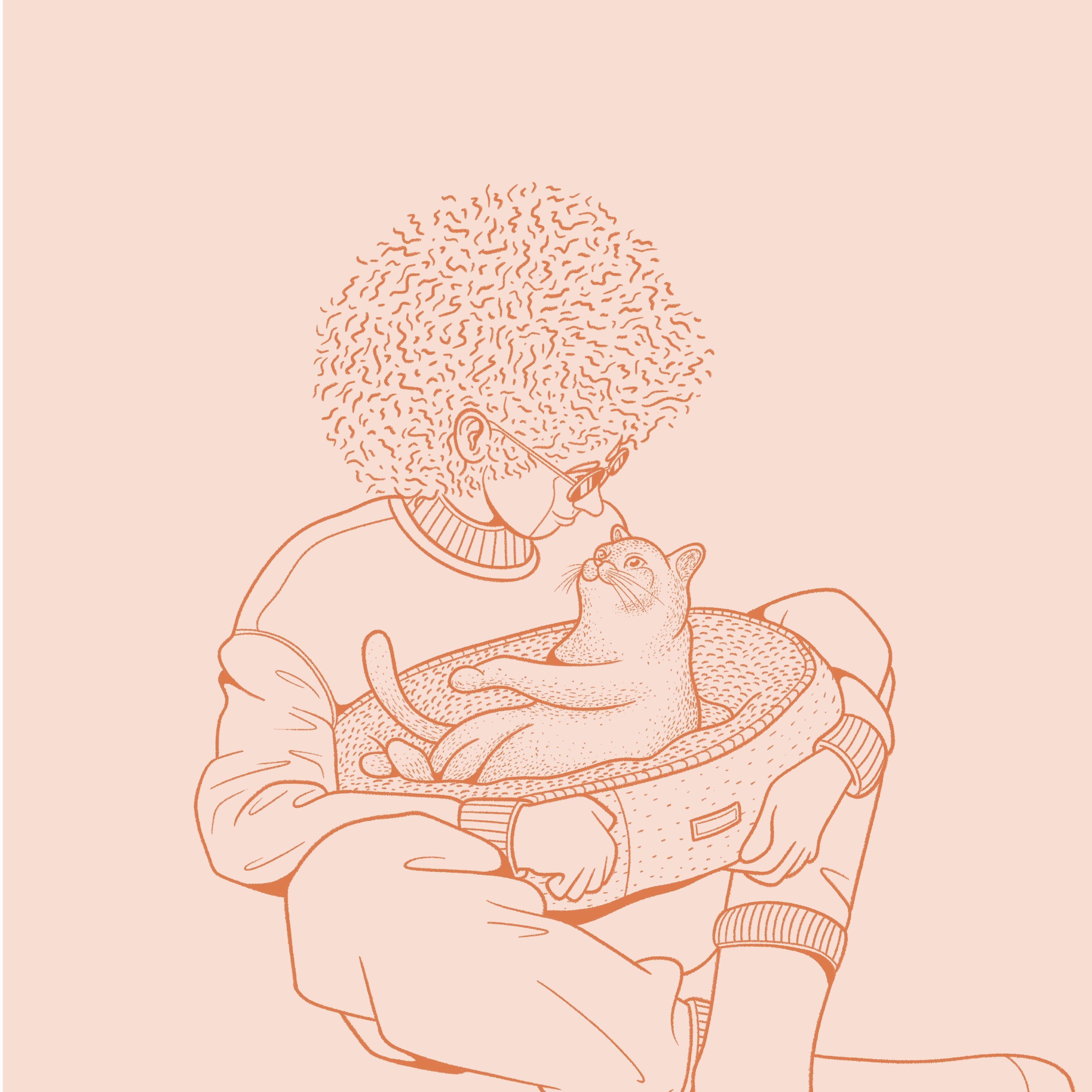 Gatos
