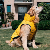 Chaquetas impermeables Classic Dog