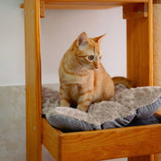 Colchoneta Guamba para gato