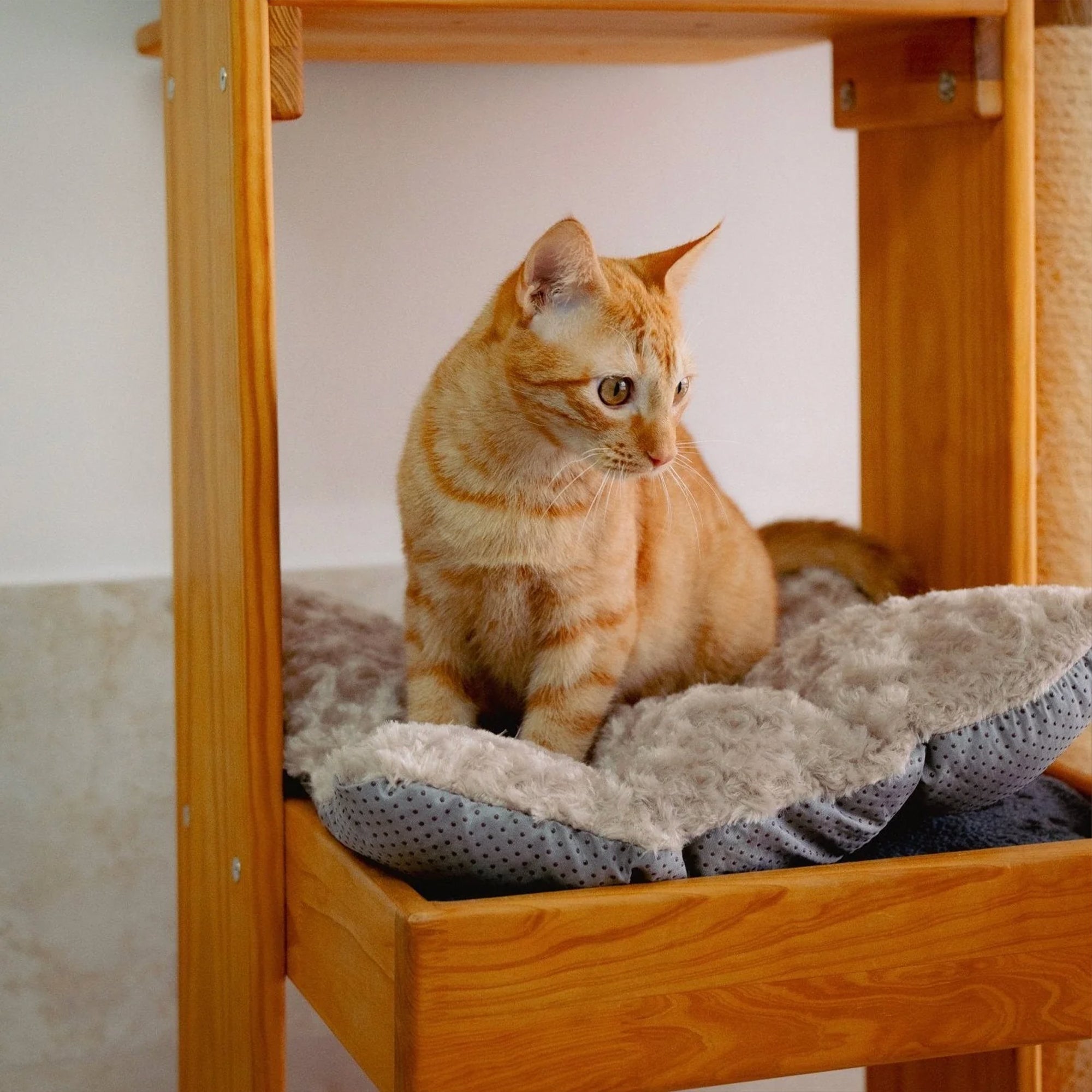 3_a9d559b7-f1ee-43ac-b585-ac418c85f980.jpg