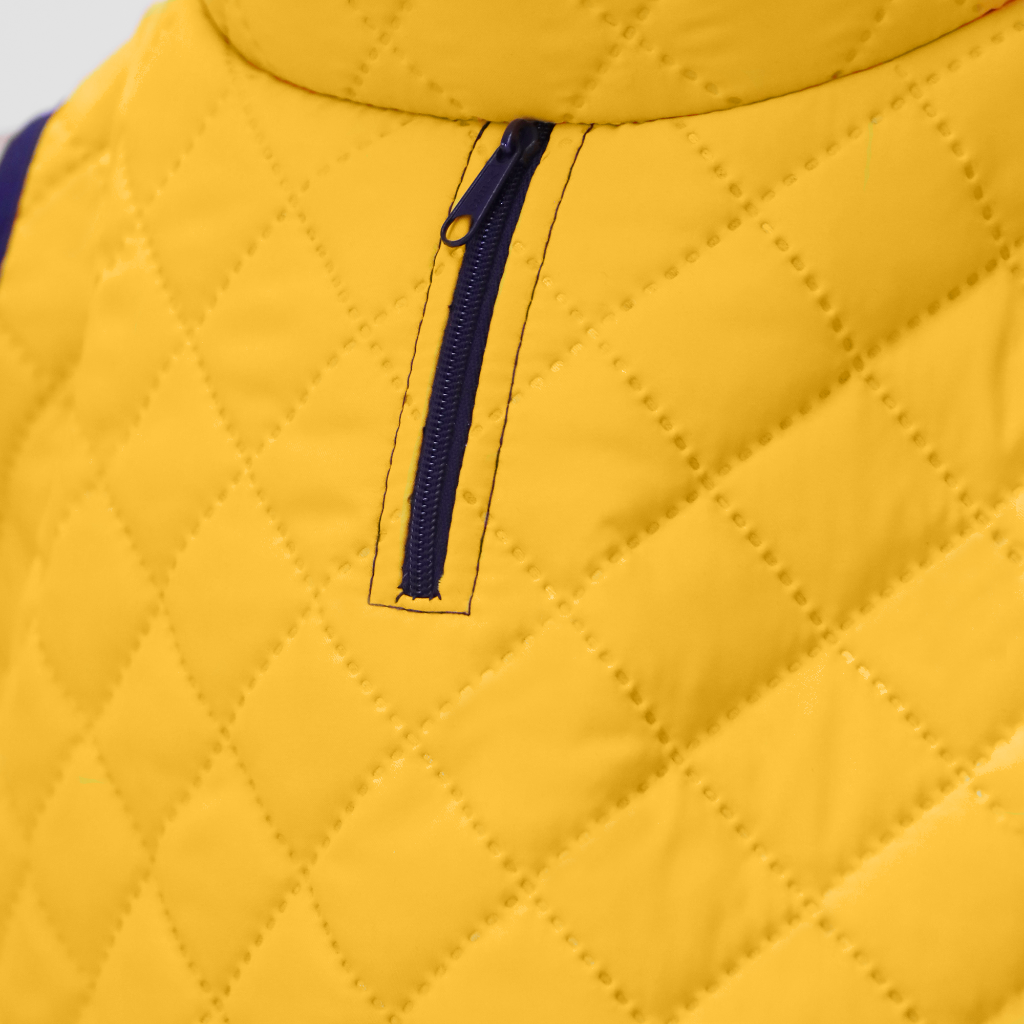 Chaquetas impermeables Classic Dog