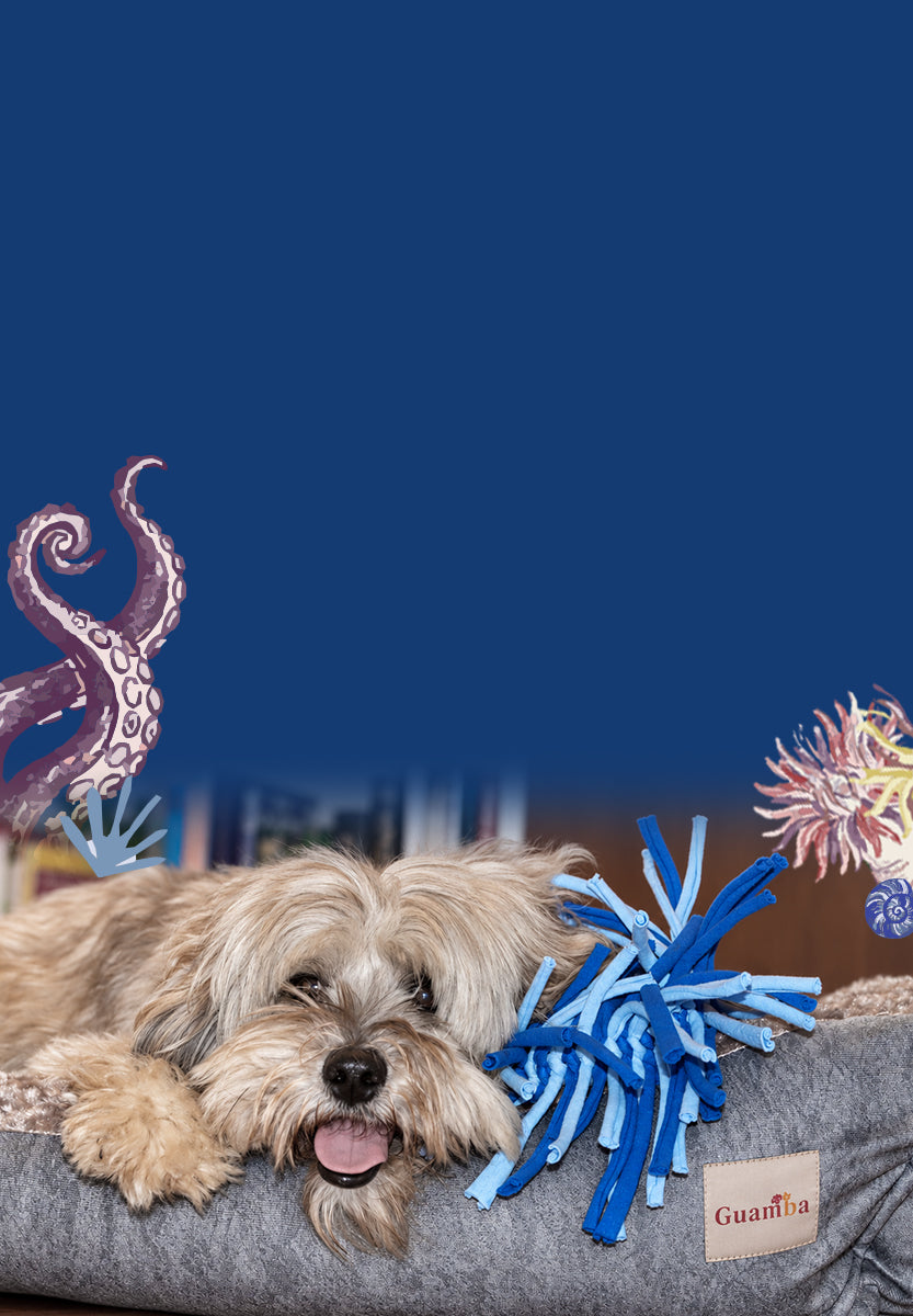 BANNER-MOBILE-4.jpg