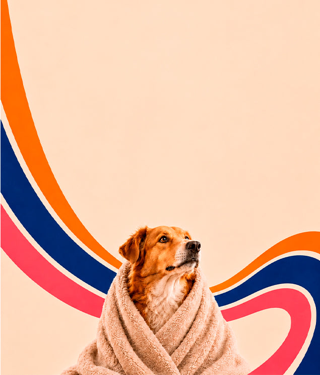 BANNER-MOBILE-HUELLAS.jpg