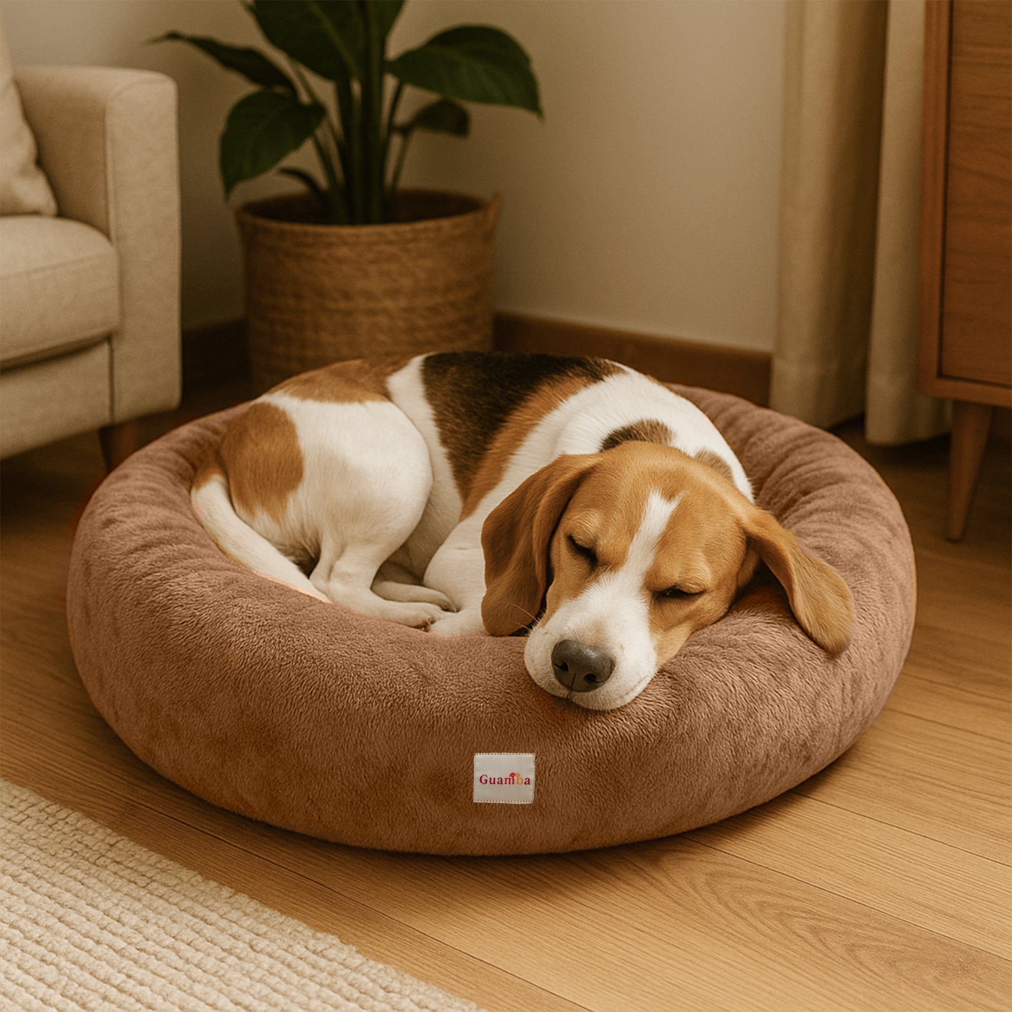 Camas antiestrés tipo Donut para perro