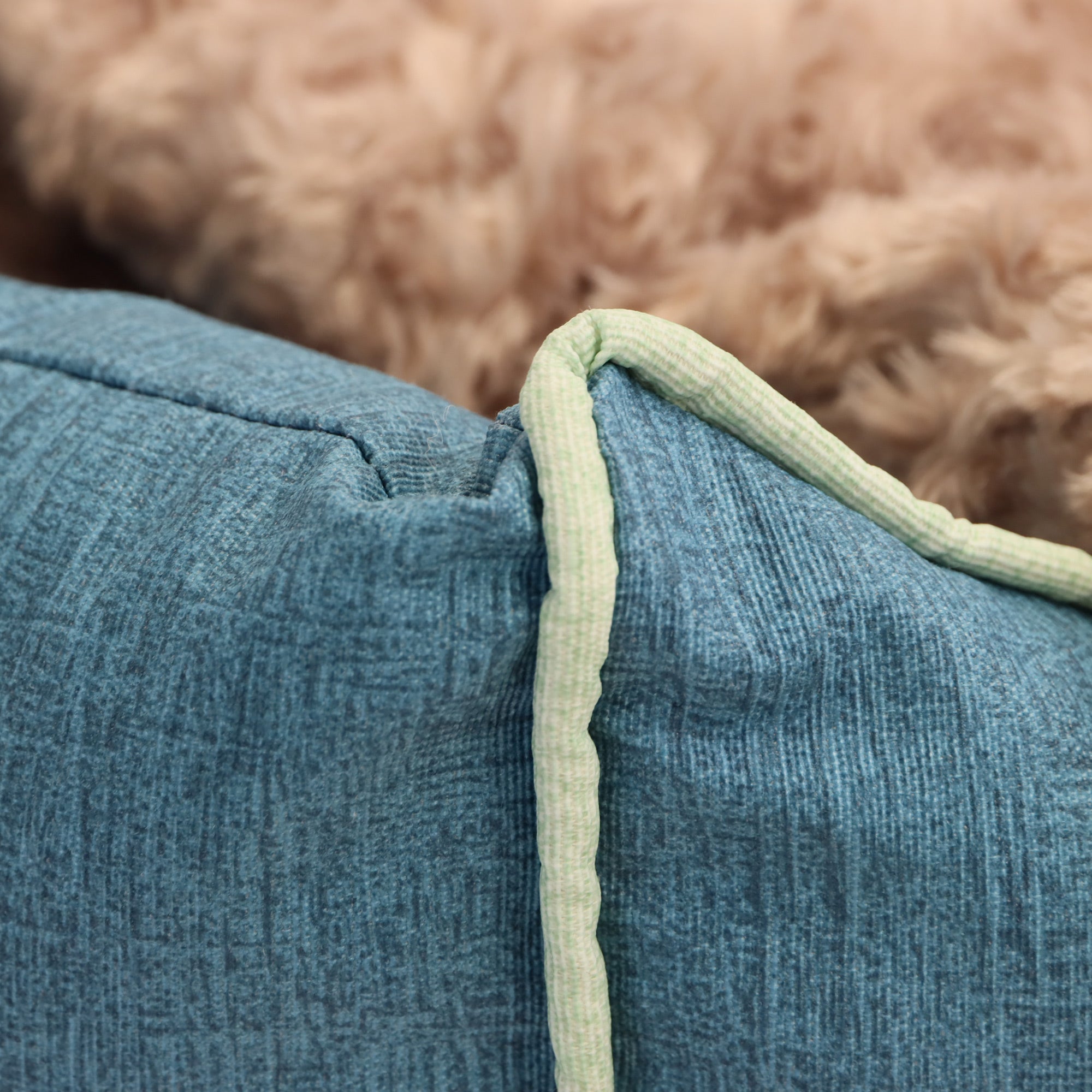 Combo cama Fresh para perro