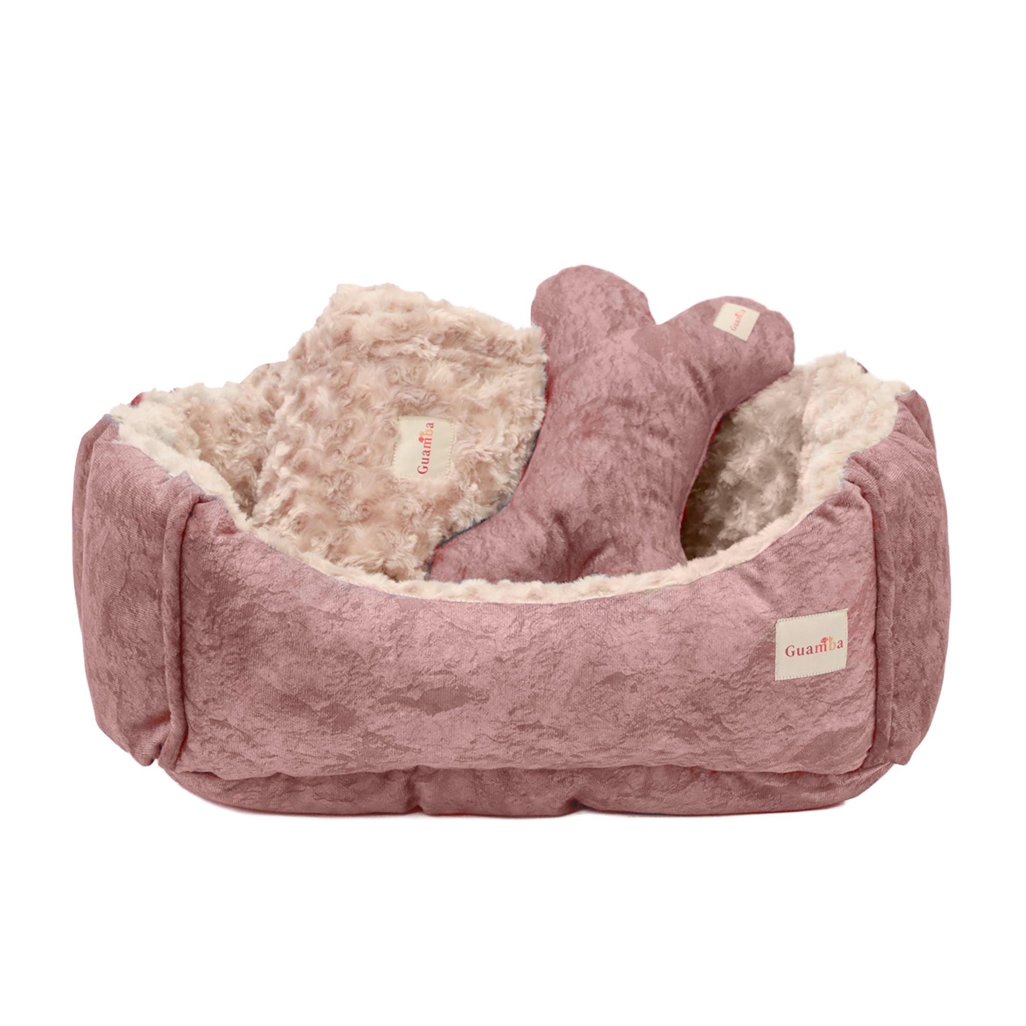 Combo Cama París para perro