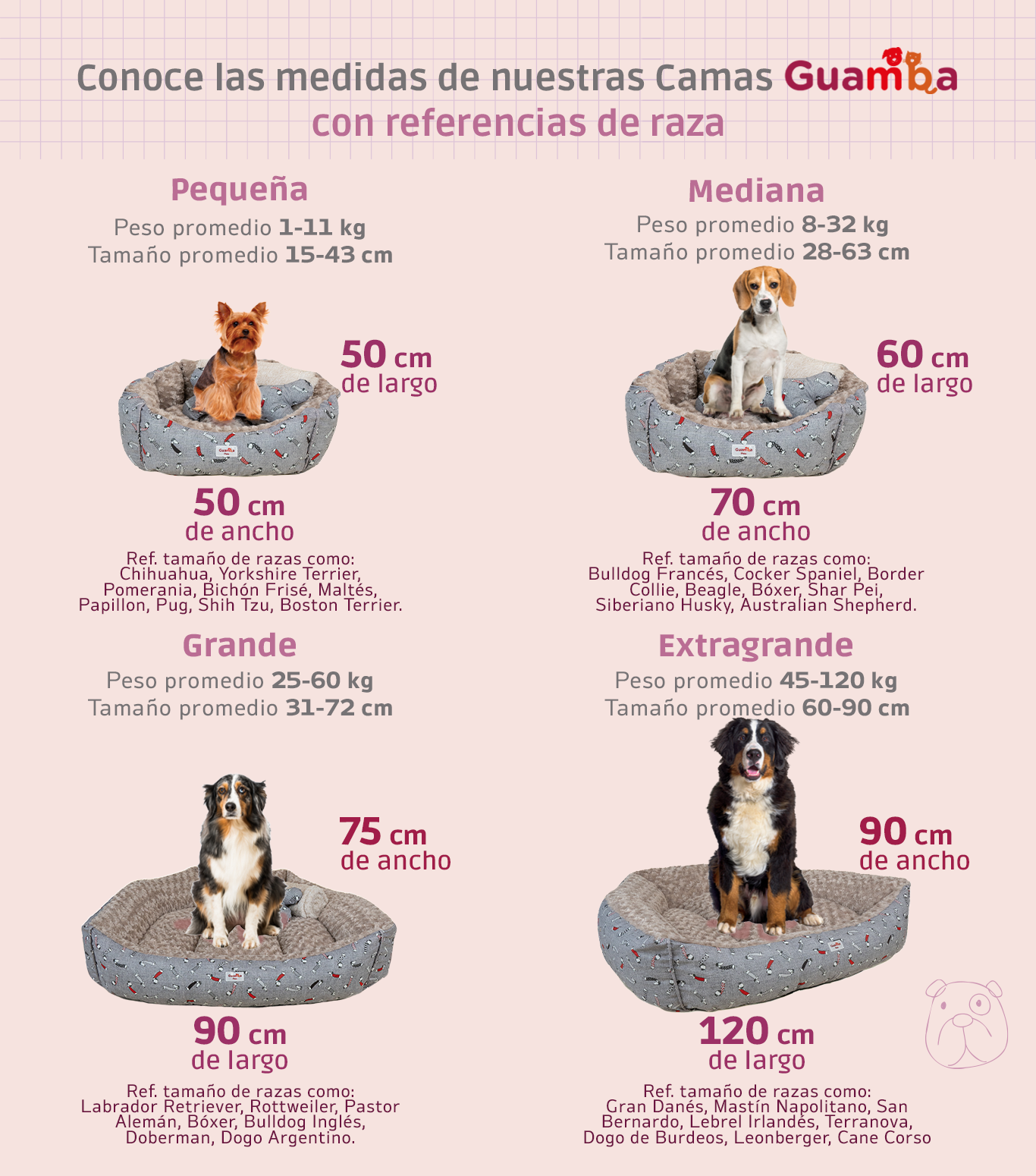 Combo Cama Para Perro Teckel en Lona