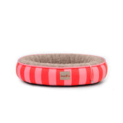 Camas Funny para gato