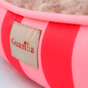 Camas Funny para gato