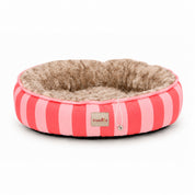 Cama para gatos Funny pequeña y acolchada
