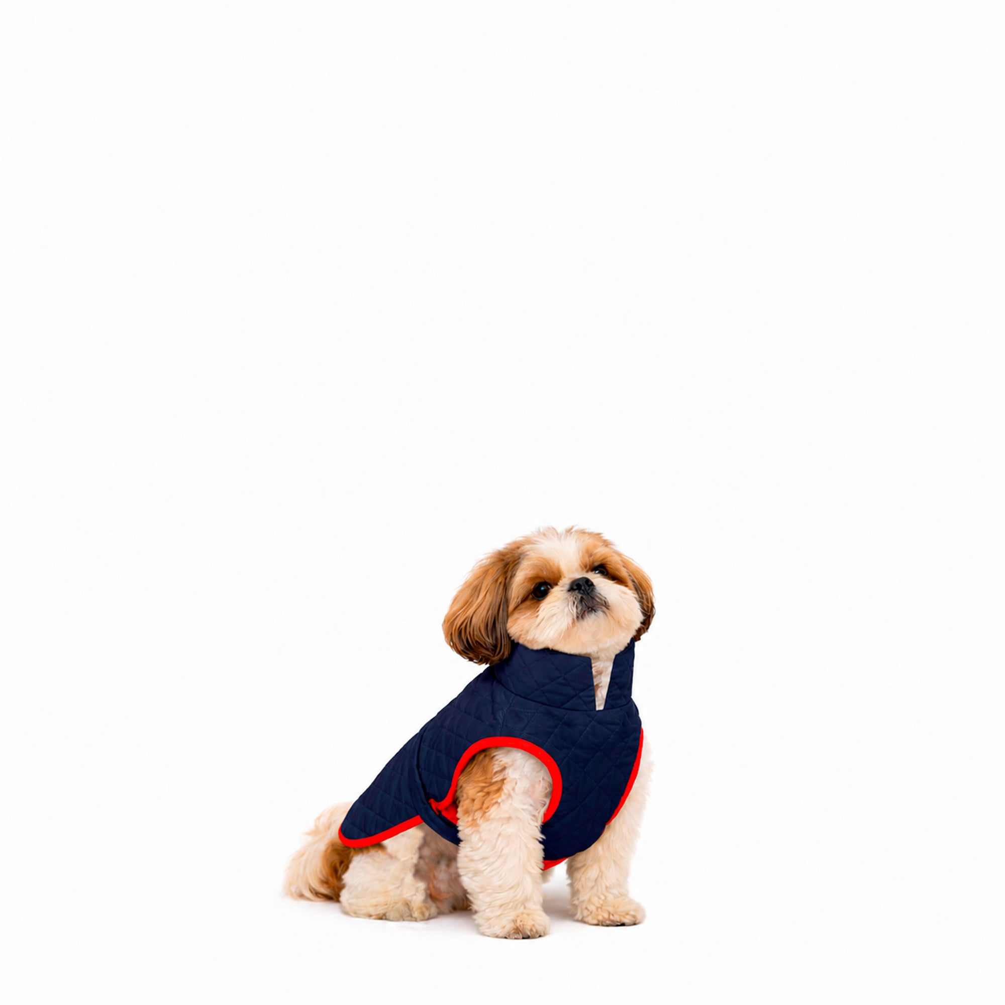 Chaquetas impermeables Classic Dog