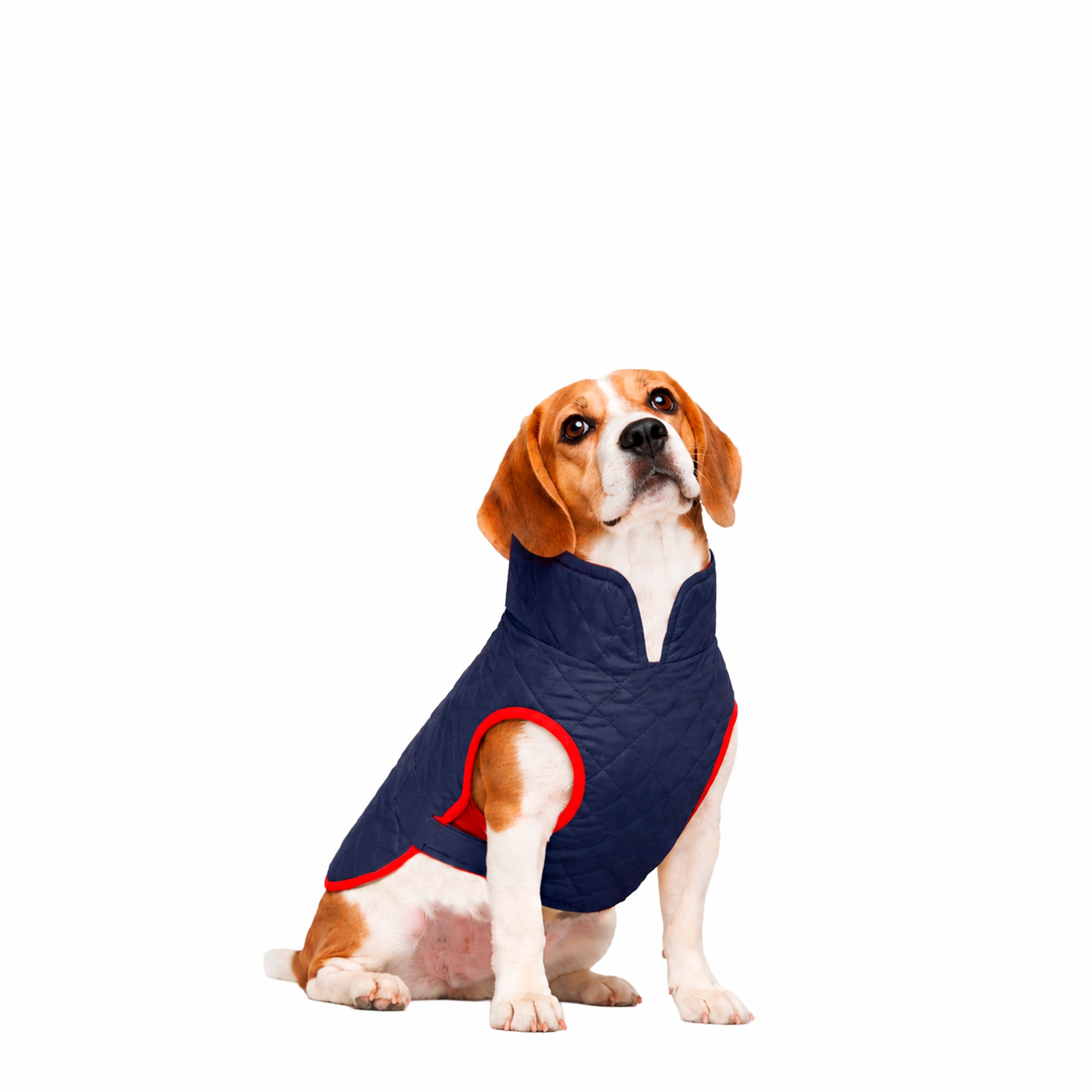 CHAQUETA-AZUL-1.M.jpg