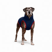 Chaquetas impermeables Classic Dog