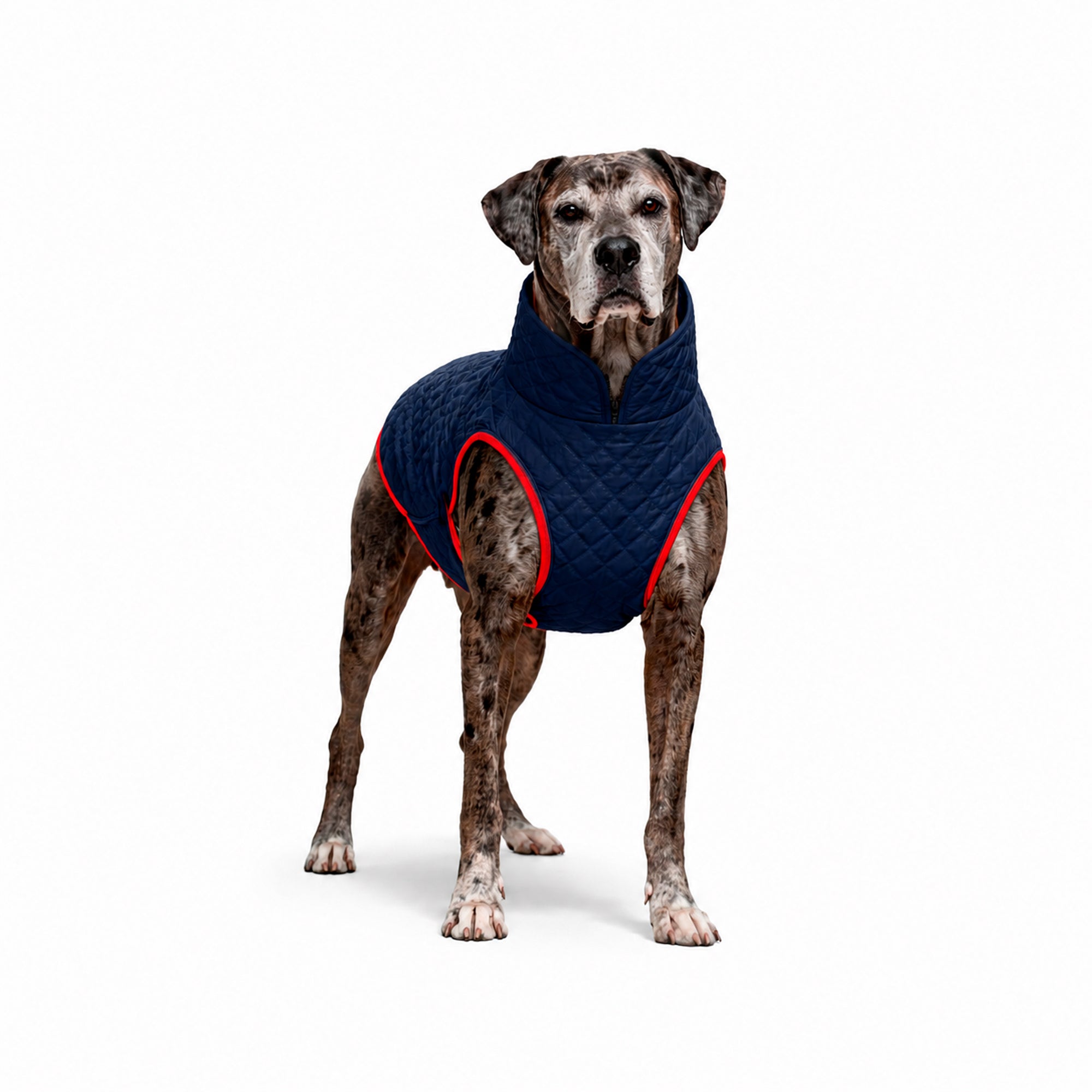CHAQUETA-AZUL-1.XL.jpg