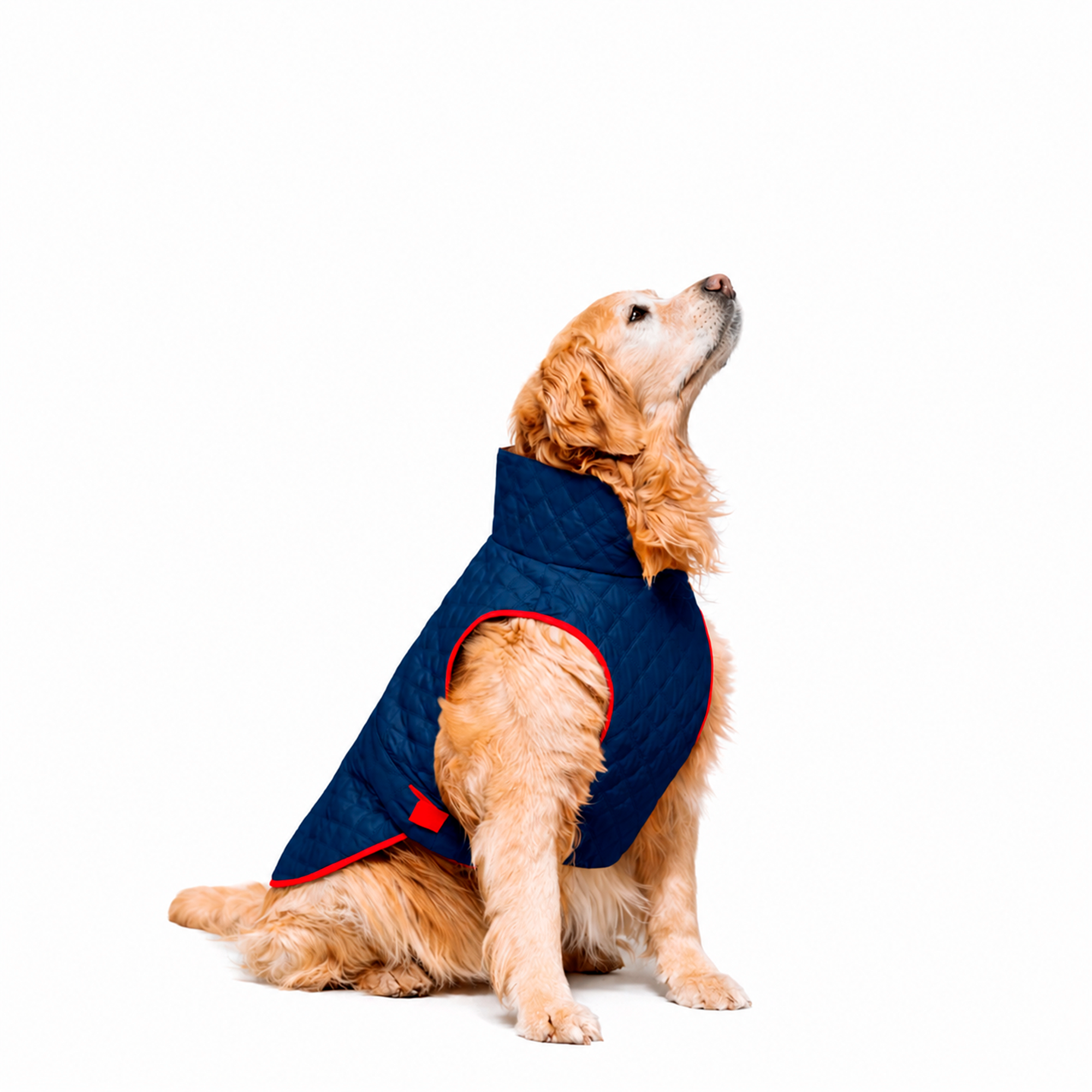 CHAQUETA-AZUL-1L.png