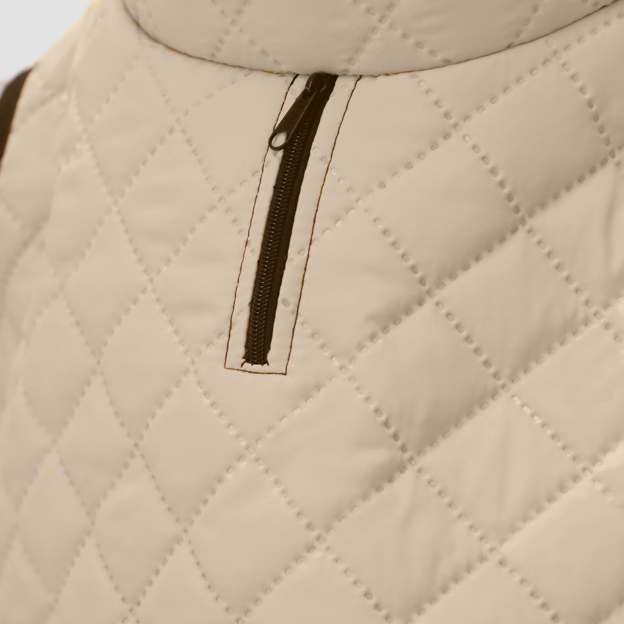 Chaquetas impermeables Classic Dog