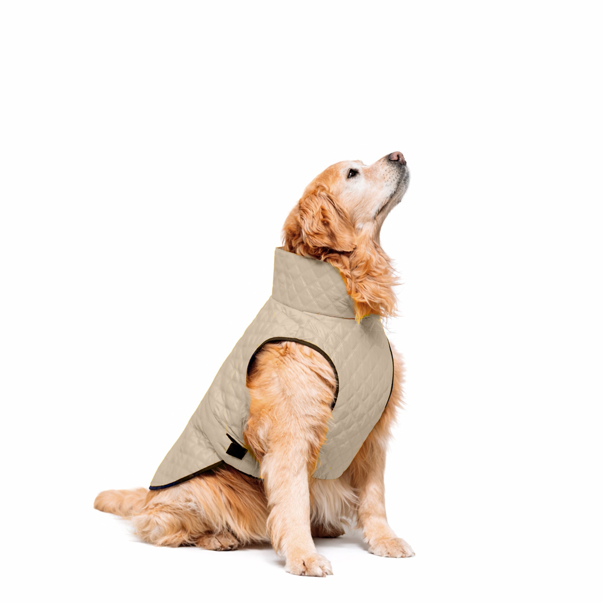 CHAQUETA-CAFE-L.jpg