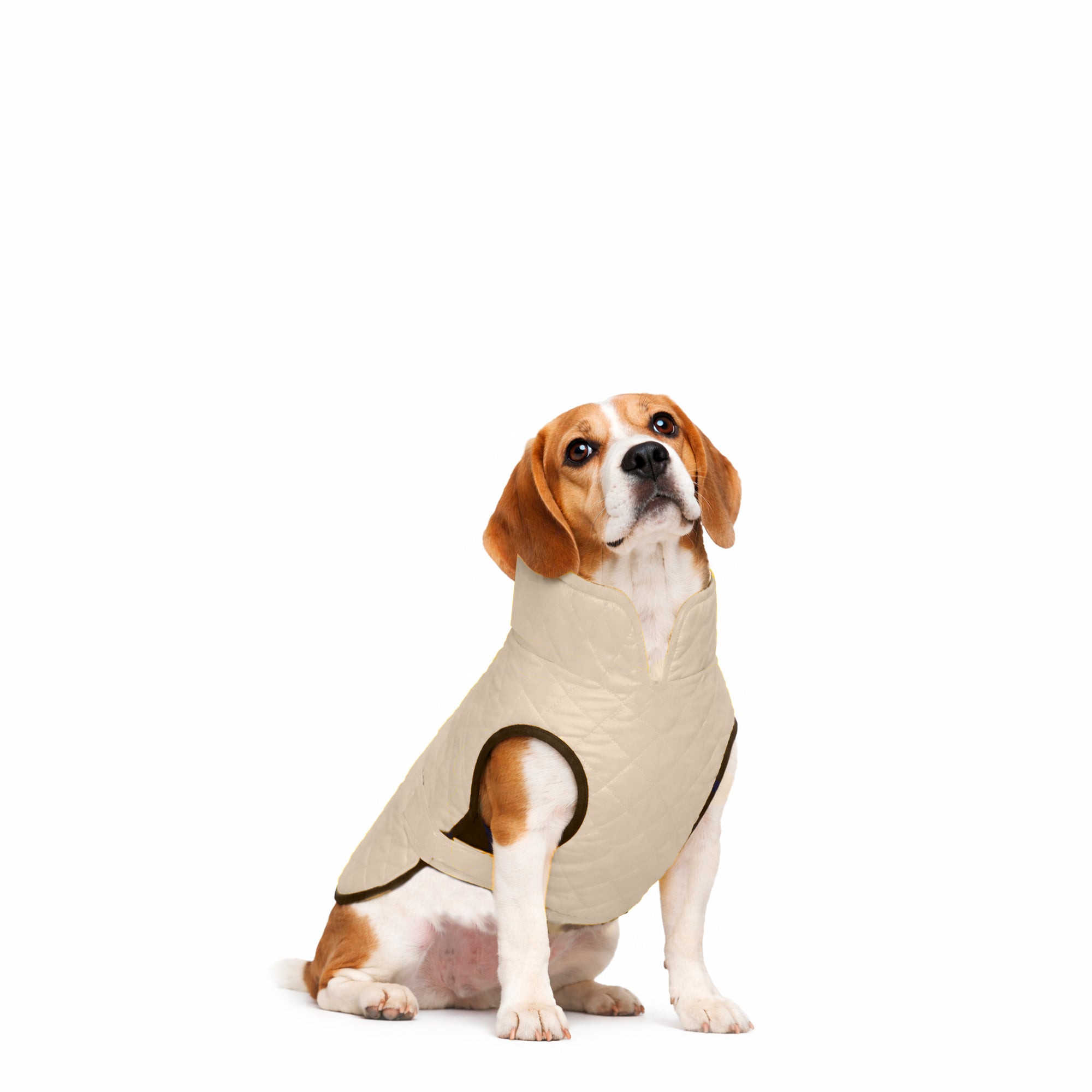 CHAQUETA-CAFE-M.jpg
