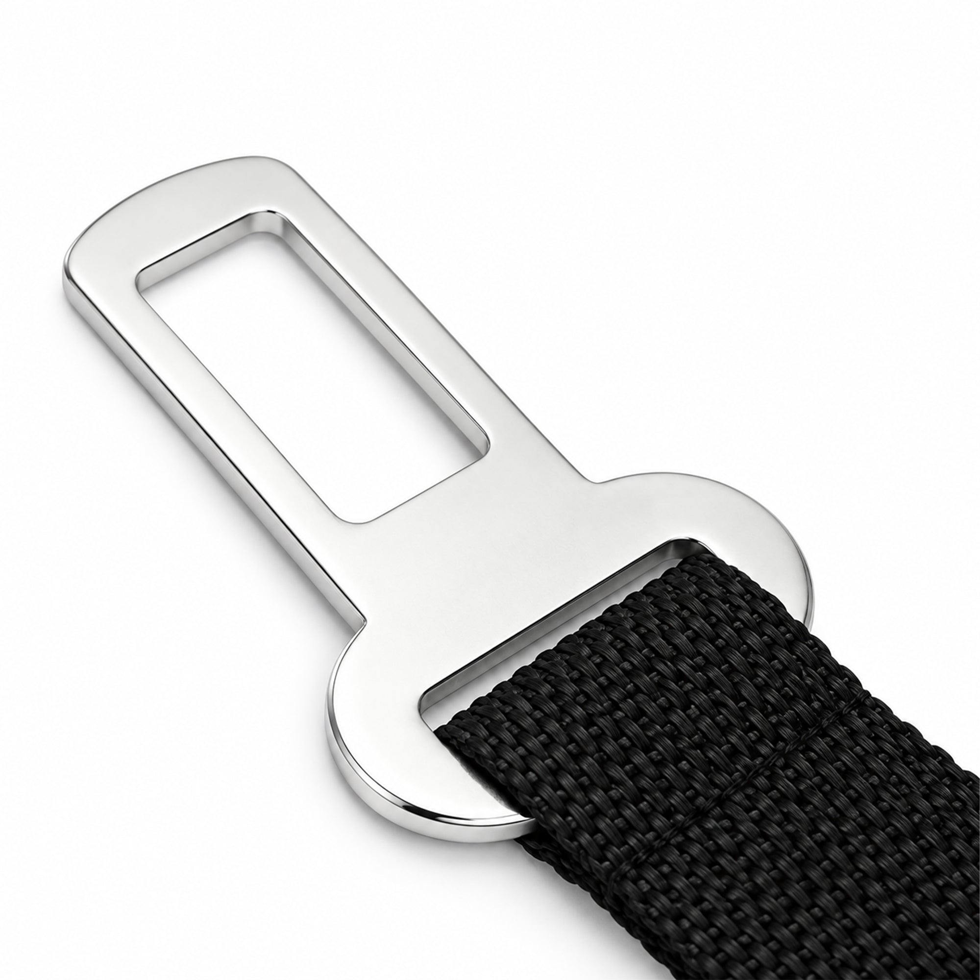 CINTURON-DE-SEGURIDAD-6.jpg