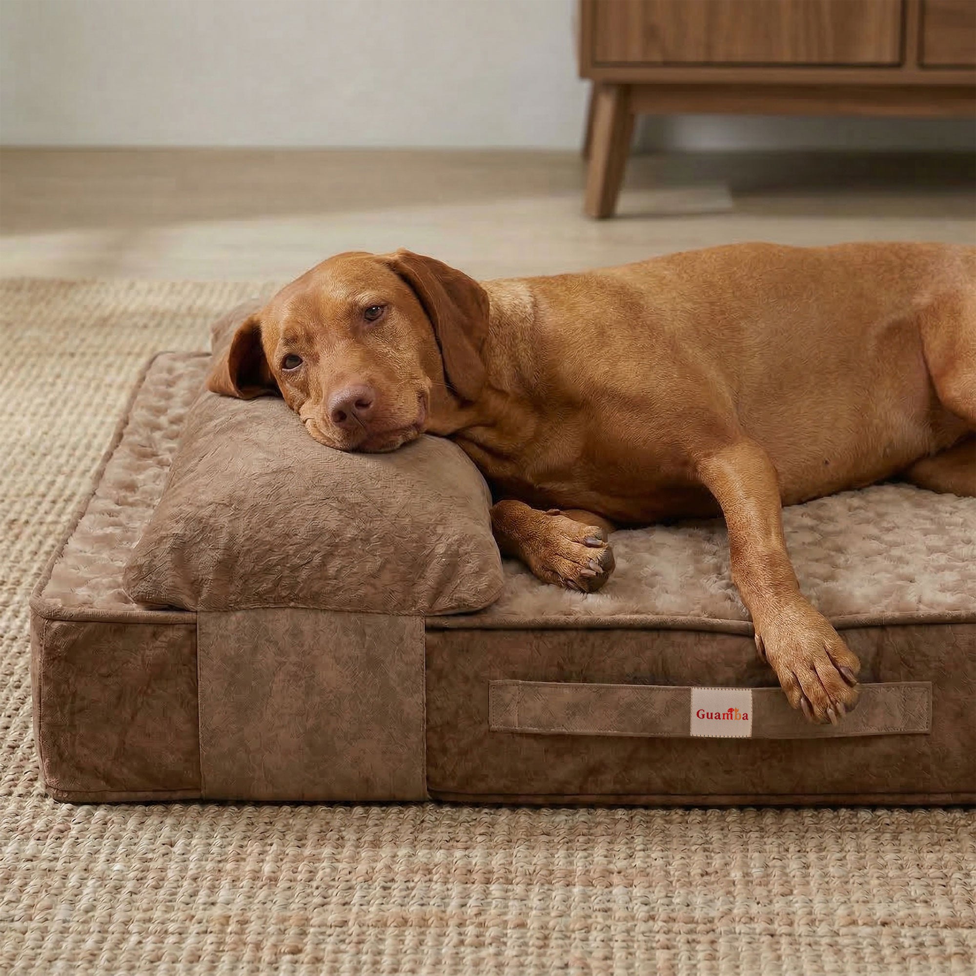 COLCHON--_-ALMOHADA-PARIS-ORTOPEDICO-PRINCIPAL.jpg