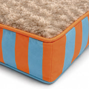 Colchón Funny Ortopédico + Almohada para perro