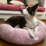 Camas antiestrés tipo Donut para perro