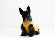 Sacos Preppy para perro