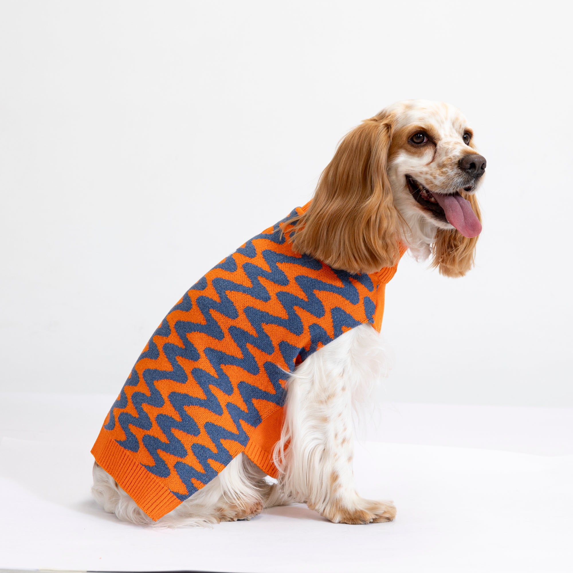 Sacos Alegría para perro