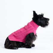 Sacos Preppy para perro