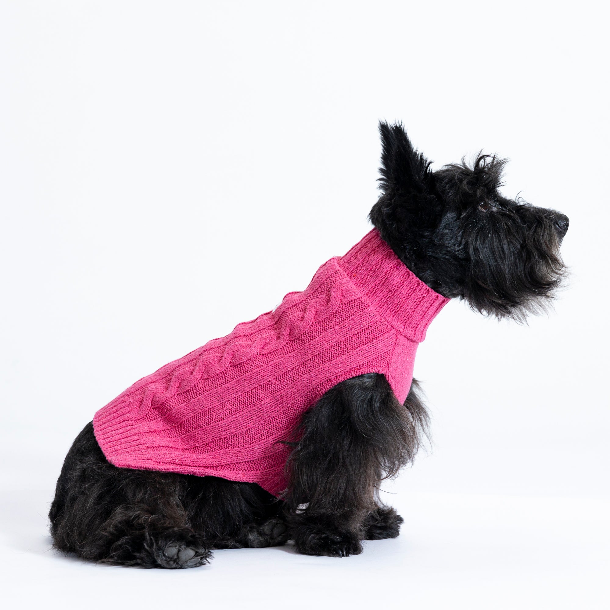 Sacos Preppy para perro