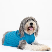 Sacos Preppy para perro