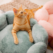 camas para gato baratas