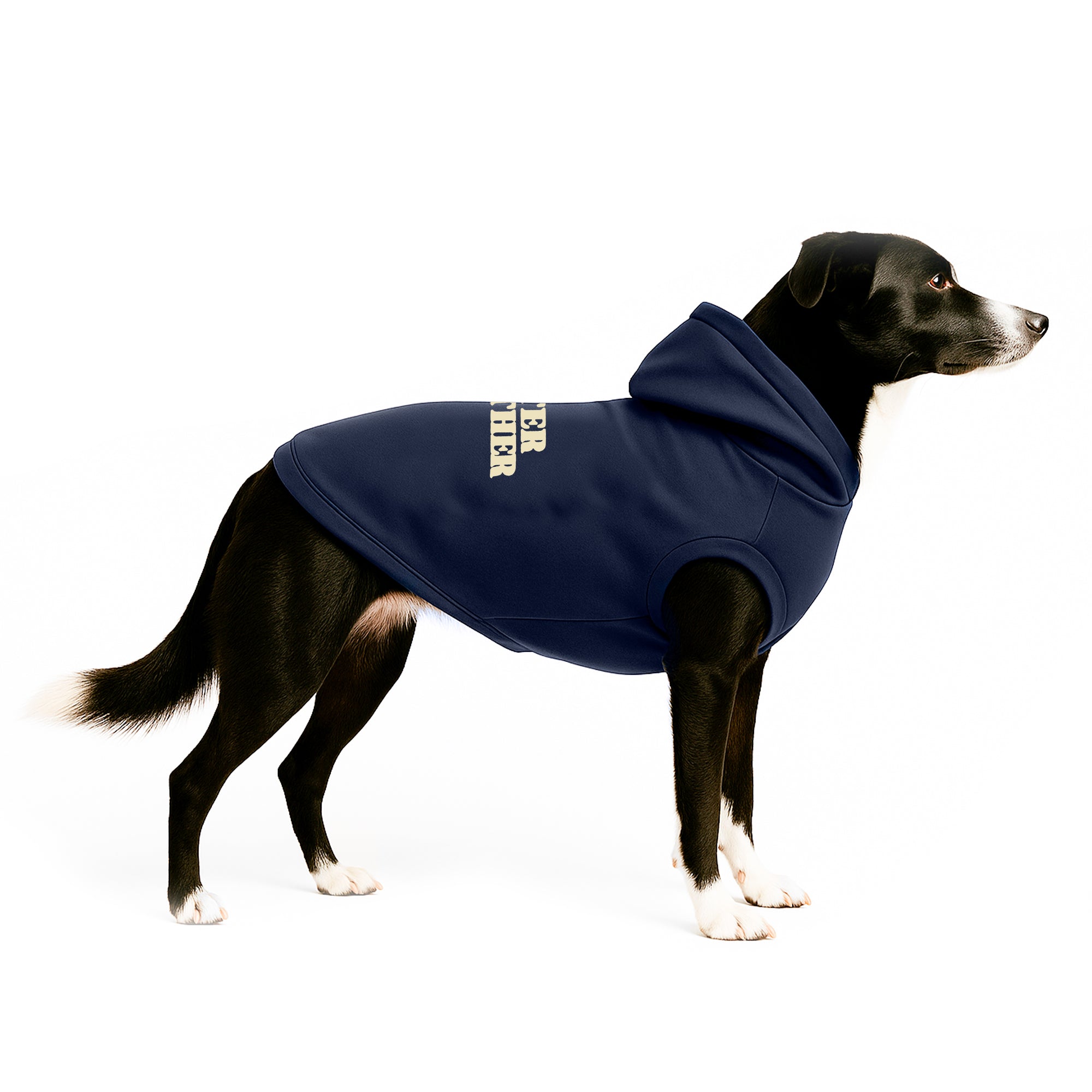 Hoodie Better Together Para Perro