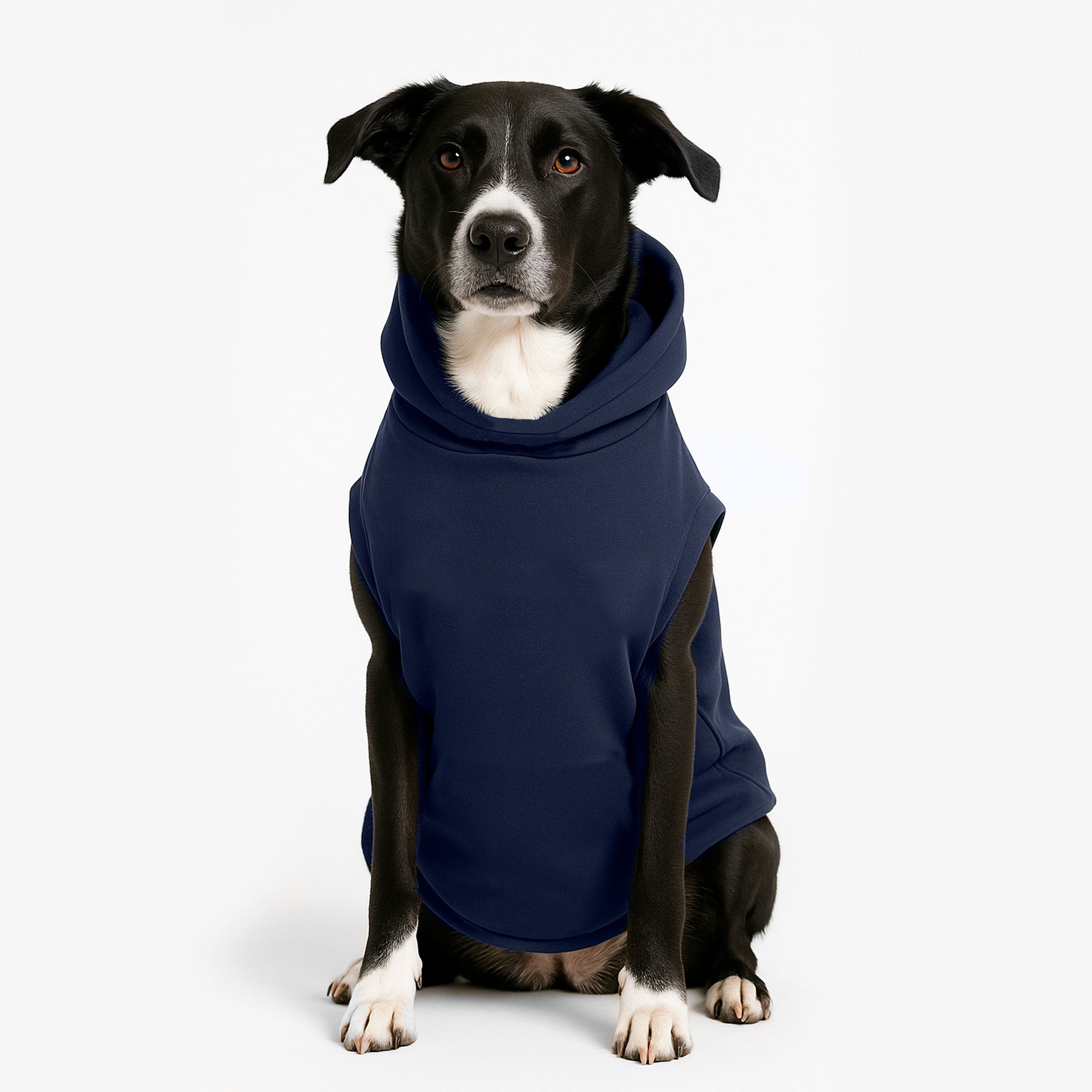 Hoodie Better Together Para Perro