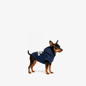 Hoodie Better Together Para Perro