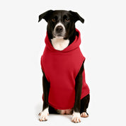 Combo Hoodie Better Together Humano + Perro