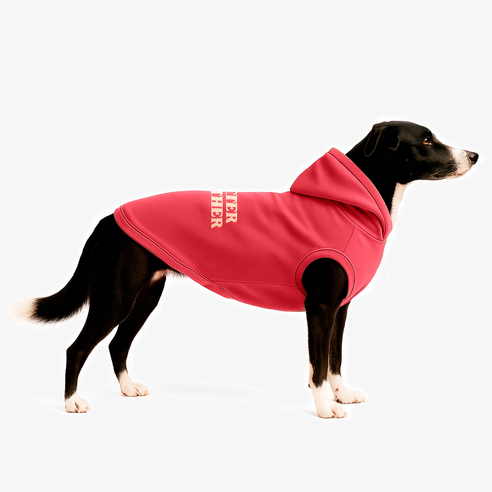 HODDIE-CORAL-PERRO-3.jpg