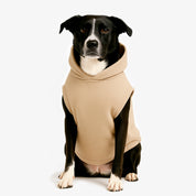 Combo Hoodie Better Together Humano + Perro