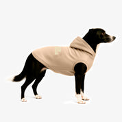 Hoodie Better Together Para Perro