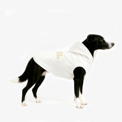 Hoodie Better Together Para Perro