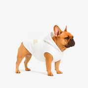 Hoodie Better Together Para Perro