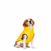 Chaquetas impermeables Classic Dog