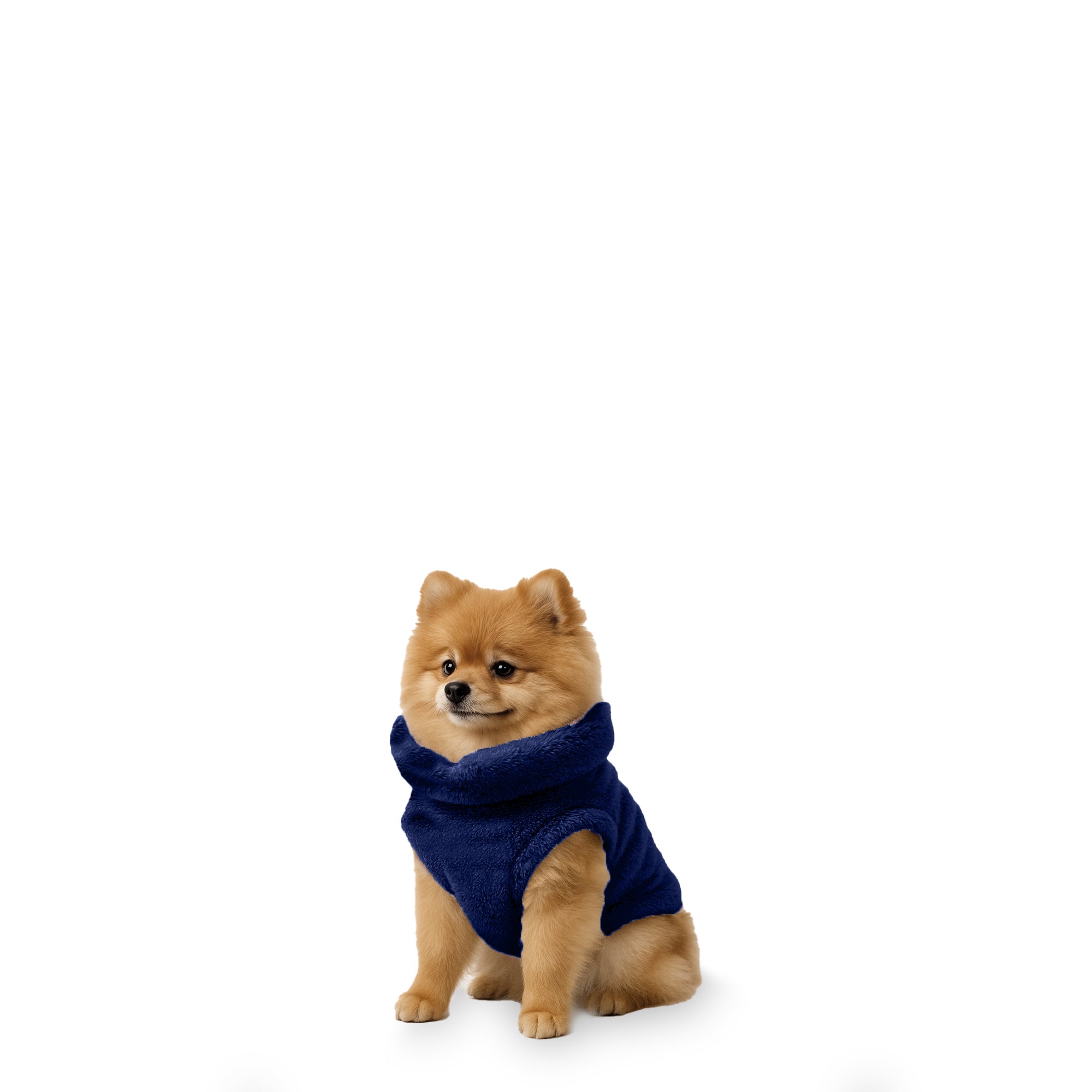 Sacos Moscú para perro