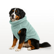 Sacos Moscú para perro