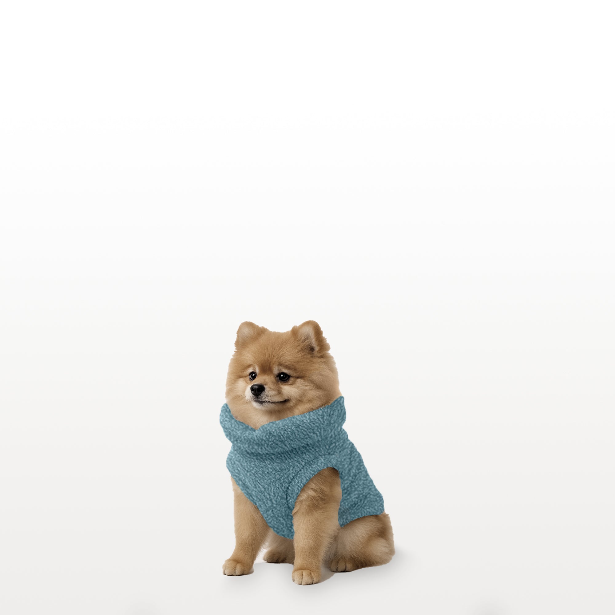 Sacos Moscú para perro