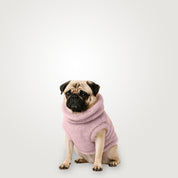 Sacos Moscú para perro